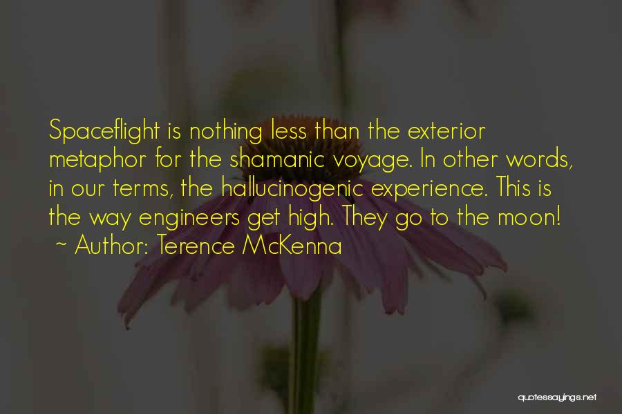 Voyages Quotes By Terence McKenna