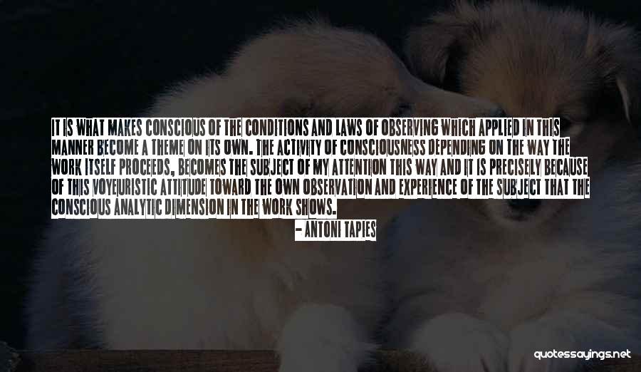 Voyeuristic Quotes By Antoni Tapies Voyeuristic Quotes By Antoni Tapies