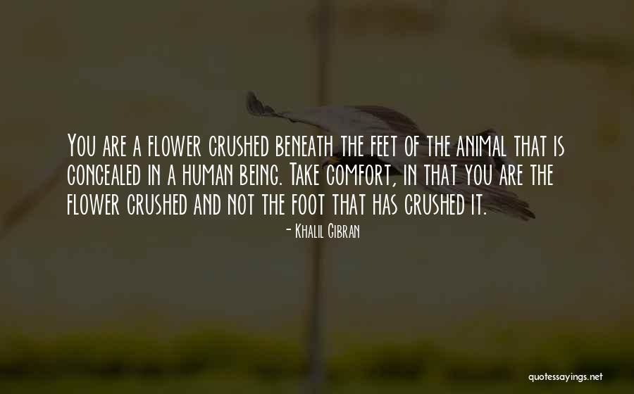 Vraisemblable Quotes By Khalil Gibran Vraisemblable Quotes By Khalil Gibran