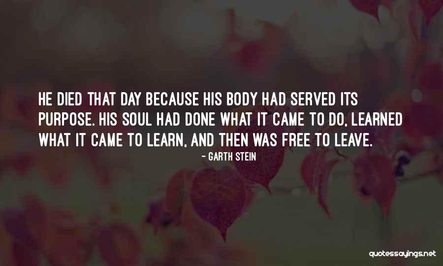 Vranken Premier Quotes By Garth Stein Vranken Premier Quotes By Garth Stein