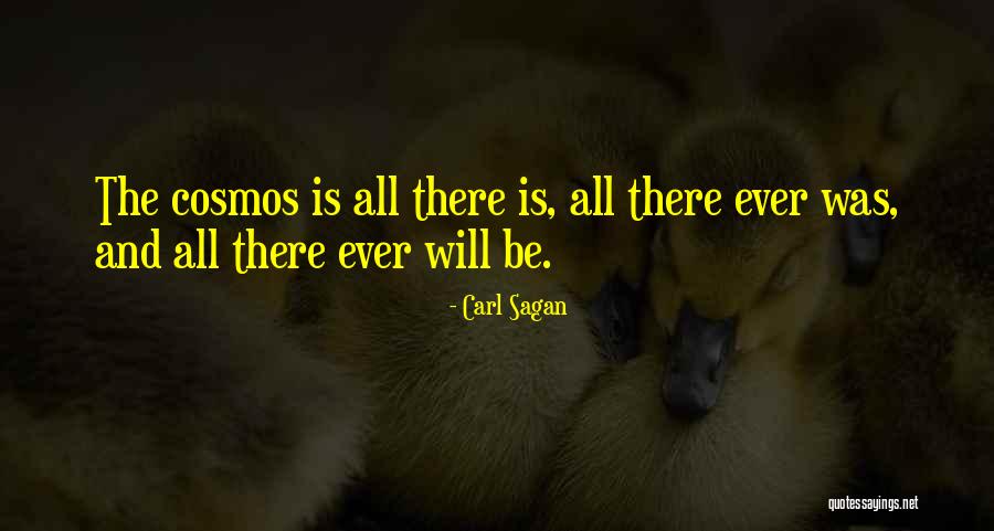 Vrda Vegas Quotes By Carl Sagan Vrda Vegas Quotes By Carl Sagan