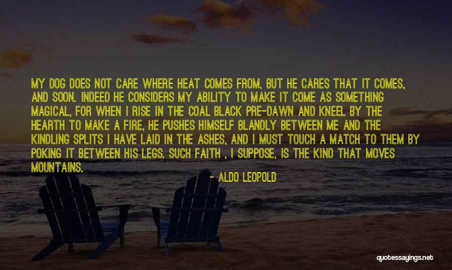Vreelands Quotes By Aldo Leopold Vreelands Quotes By Aldo Leopold