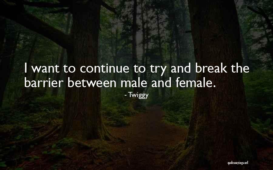 Vreemdenangst Quotes By Twiggy