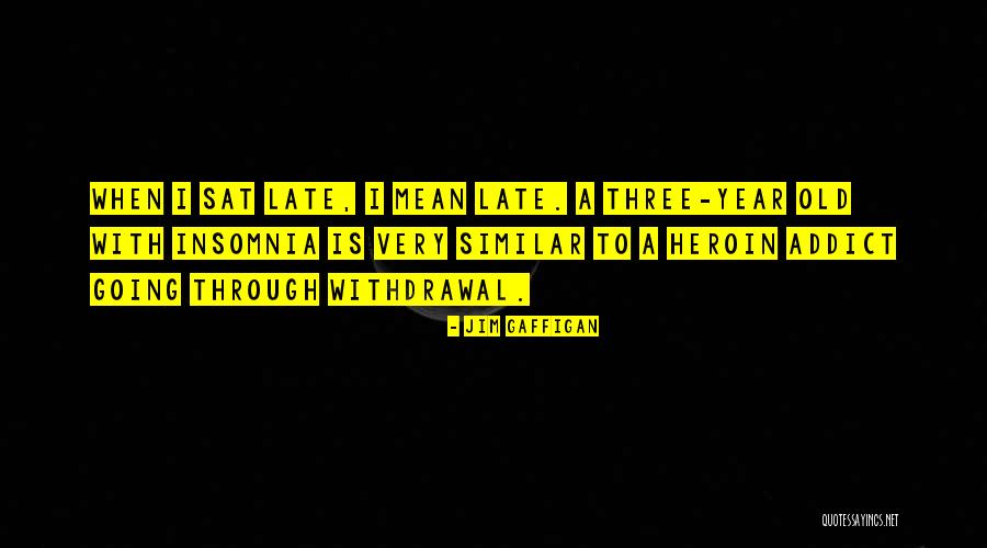 Vrees Voor Quotes By Jim Gaffigan Vrees Voor Quotes By Jim Gaffigan