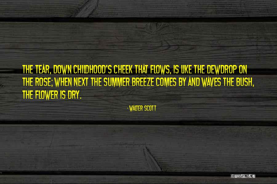 Vremenski Rele Quotes By Walter Scott