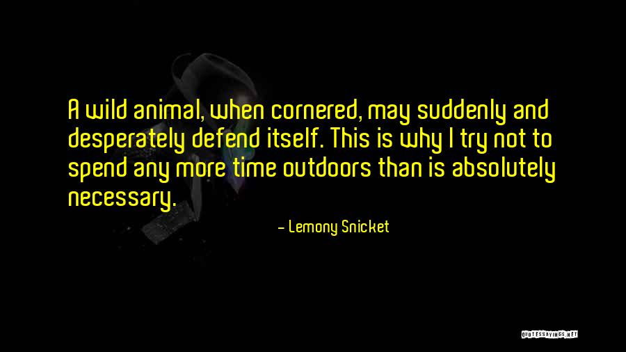 Vrevirus Quotes By Lemony Snicket Vrevirus Quotes By Lemony Snicket