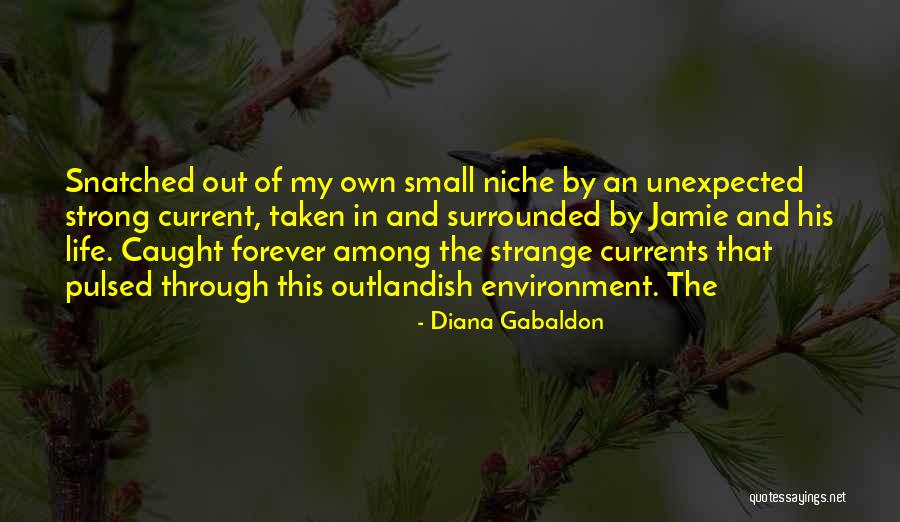 Vronski Mesidor Quotes By Diana Gabaldon Vronski Mesidor Quotes By Diana Gabaldon