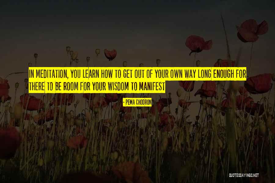 Vrteti Psa Quotes By Pema Chodron Vrteti Psa Quotes By Pema Chodron