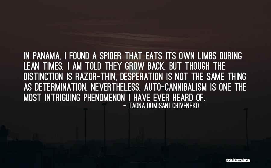 Vstupenky Meda Quotes By Taona Dumisani Chiveneko Vstupenky Meda Quotes By Taona Dumisani Chiveneko