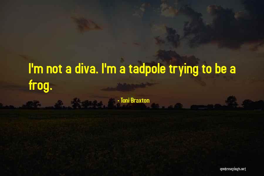 Vstupenky Metallica Quotes By Toni Braxton Vstupenky Metallica Quotes By Toni Braxton