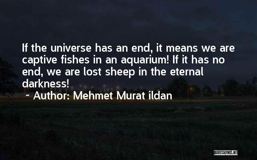 Vtrahetut Quotes By Mehmet Murat Ildan