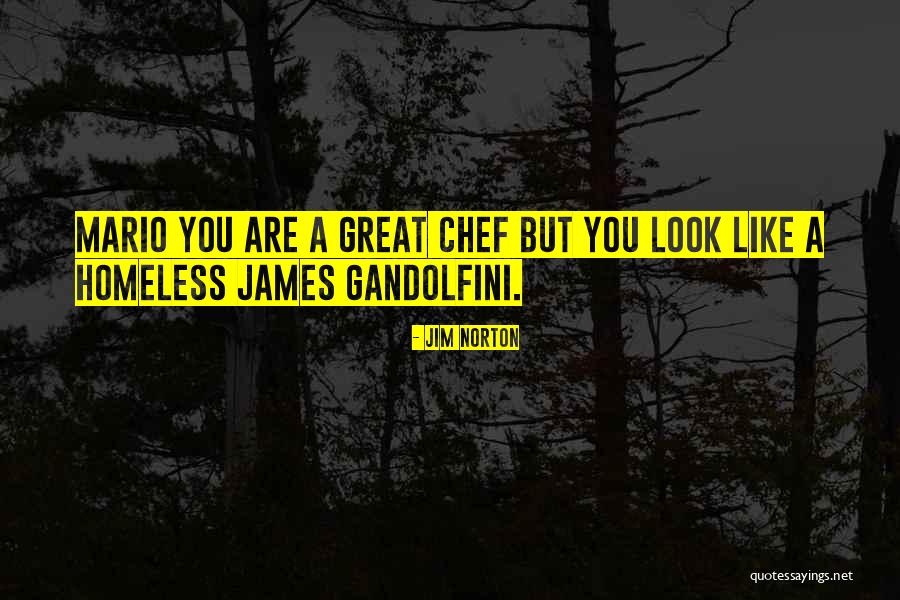 Vtt File Quotes By Jim Norton