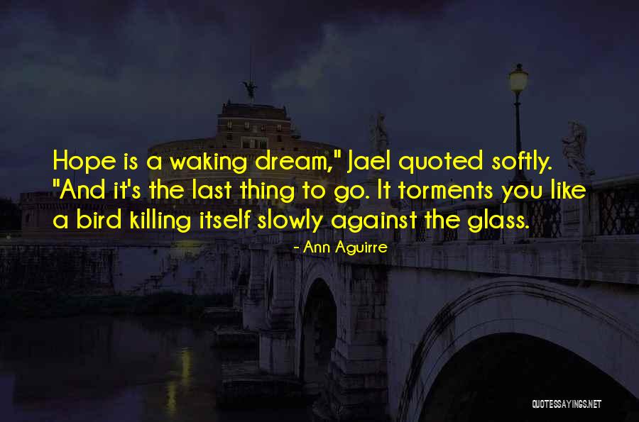 Vuelca Camion Quotes By Ann Aguirre Vuelca Camion Quotes By Ann Aguirre