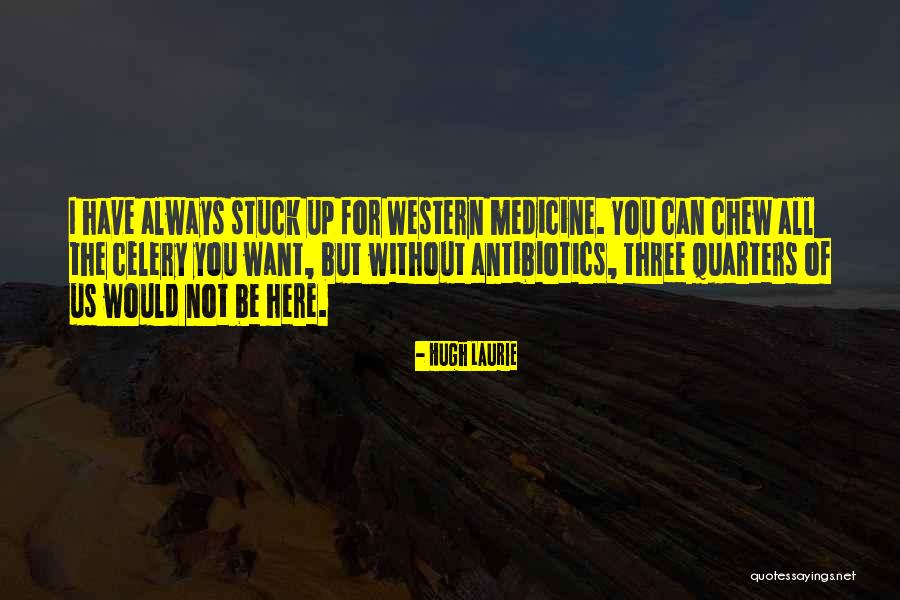 Vuelvas Translation Quotes By Hugh Laurie Vuelvas Translation Quotes By Hugh Laurie