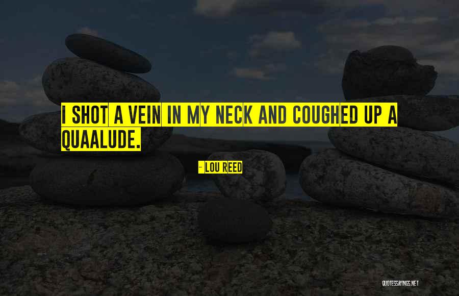 Vuillaumes Bow Quotes By Lou Reed Vuillaumes Bow Quotes By Lou Reed