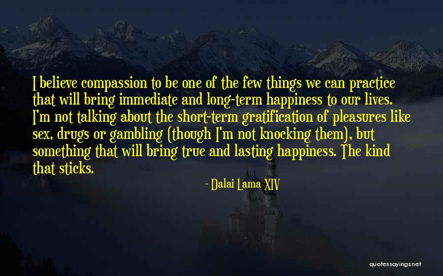 Vuillermet Quotes By Dalai Lama XIV Vuillermet Quotes By Dalai Lama XIV