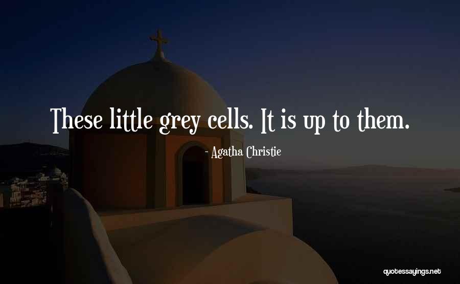Vujovic Zoran Quotes By Agatha Christie Vujovic Zoran Quotes By Agatha Christie