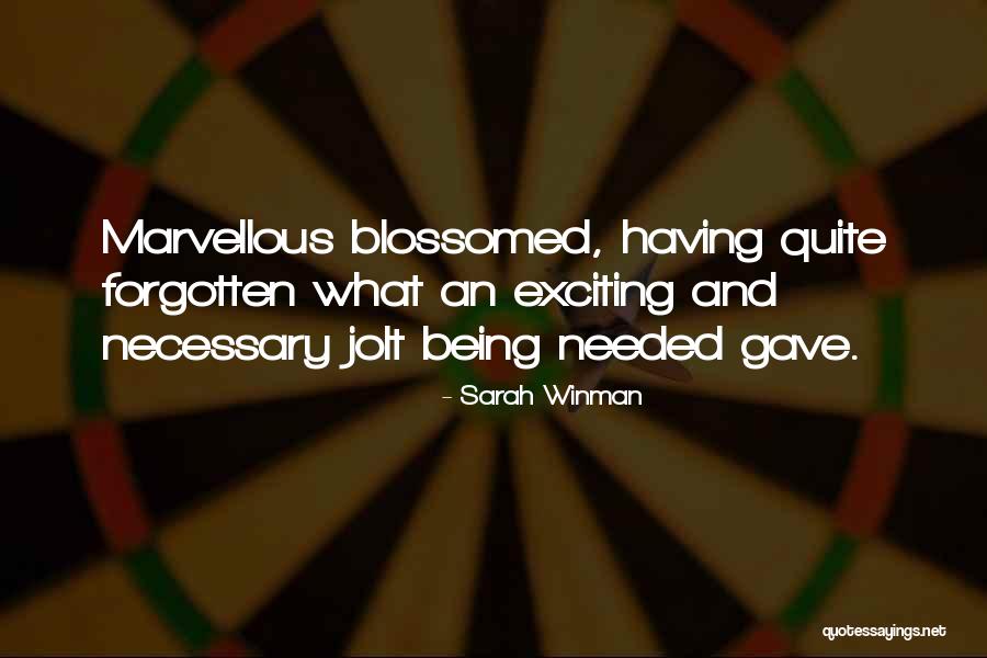 Vuksan Bilanovic Quotes By Sarah Winman Vuksan Bilanovic Quotes By Sarah Winman