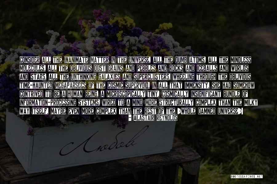 Vukuba Quotes By Alastair Reynolds Vukuba Quotes By Alastair Reynolds