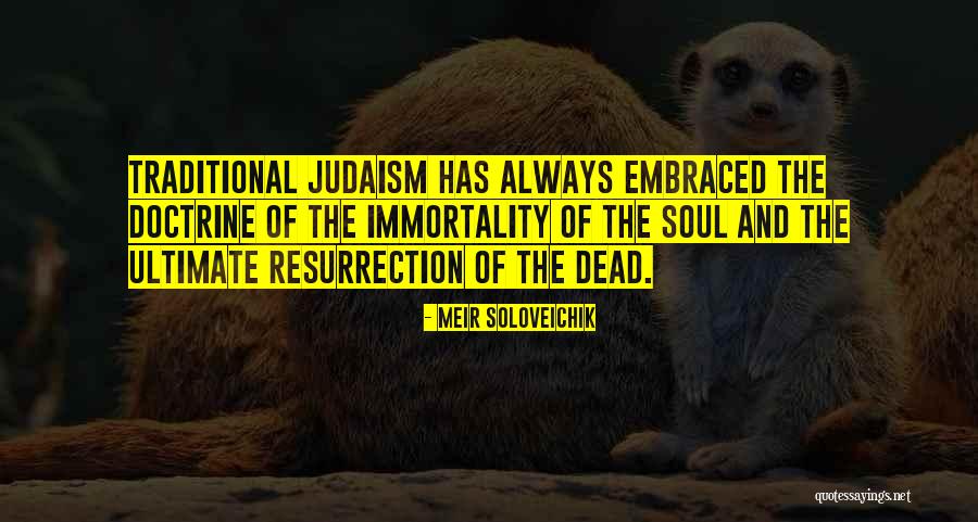 Vuletic Dusan Quotes By Meir Soloveichik Vuletic Dusan Quotes By Meir Soloveichik