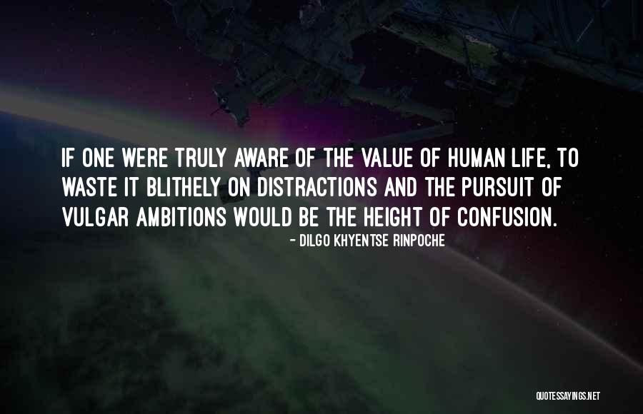 Vulgar Life Quotes By Dilgo Khyentse Rinpoche Vulgar Life Quotes By Dilgo Khyentse Rinpoche