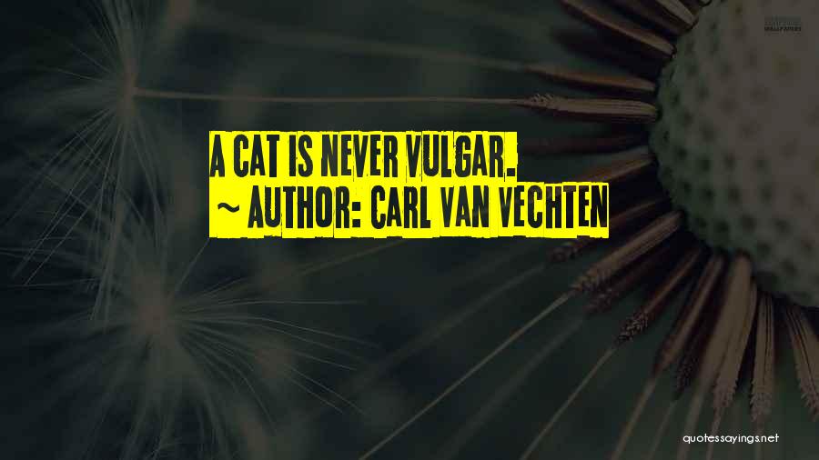 Vulgar Quotes By Carl Van Vechten