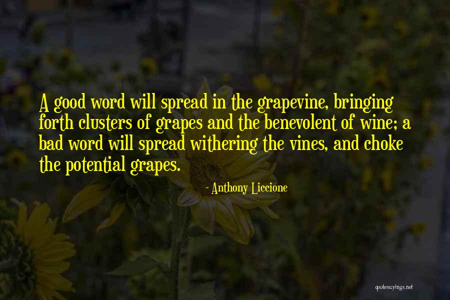 Vulkana Sastavdalas Quotes By Anthony Liccione Vulkana Sastavdalas Quotes By Anthony Liccione