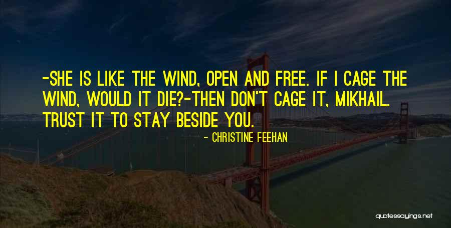 Vullo Wooden Quotes By Christine Feehan Vullo Wooden Quotes By Christine Feehan