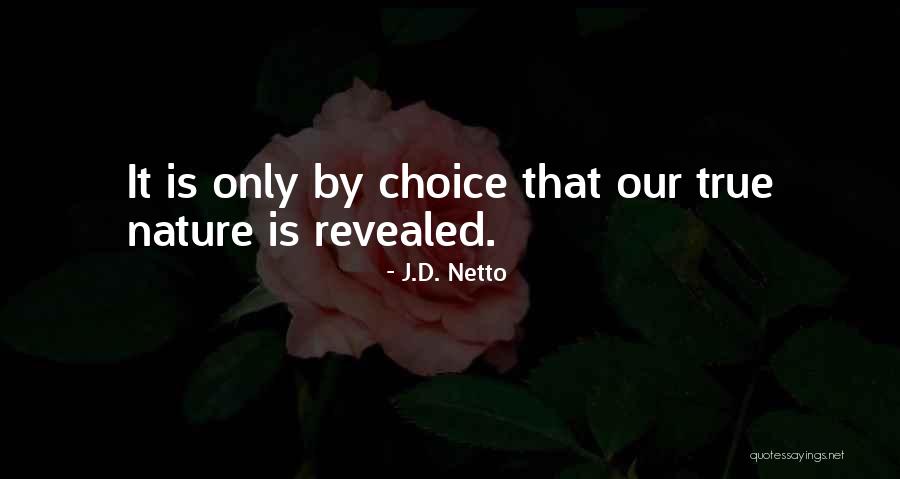 Vulpen Vulling Quotes By J.D. Netto