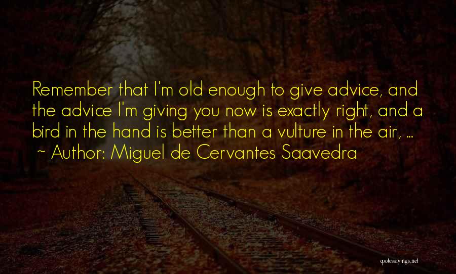 Vulture Bird Quotes By Miguel De Cervantes Saavedra