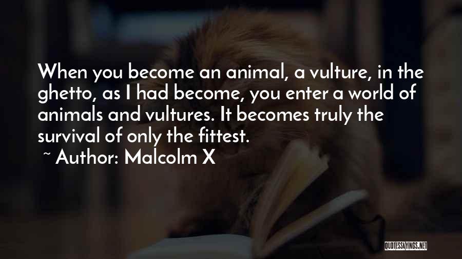 Vulture Quotes By Malcolm X