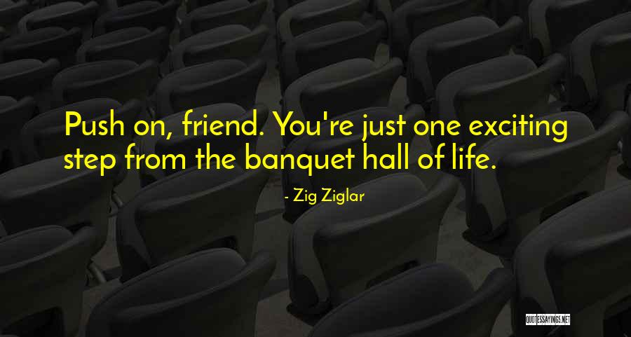 Vyel Potty Quotes By Zig Ziglar Vyel Potty Quotes By Zig Ziglar