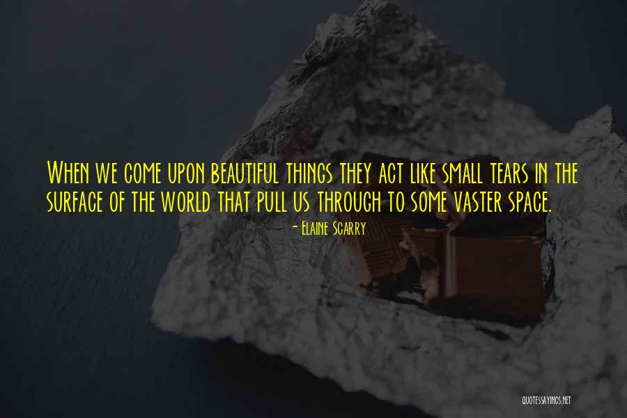 Vyschle Quotes By Elaine Scarry Vyschle Quotes By Elaine Scarry