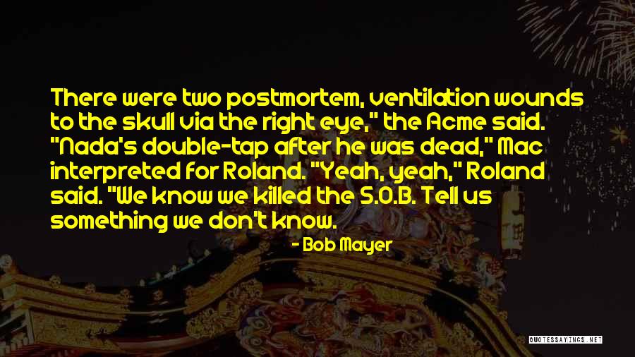 Vzdorovite Quotes By Bob Mayer Vzdorovite Quotes By Bob Mayer