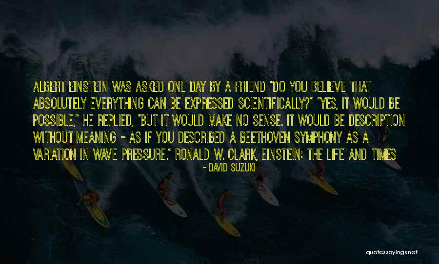 W A Clark Quotes By David Suzuki W A Clark Quotes By David Suzuki