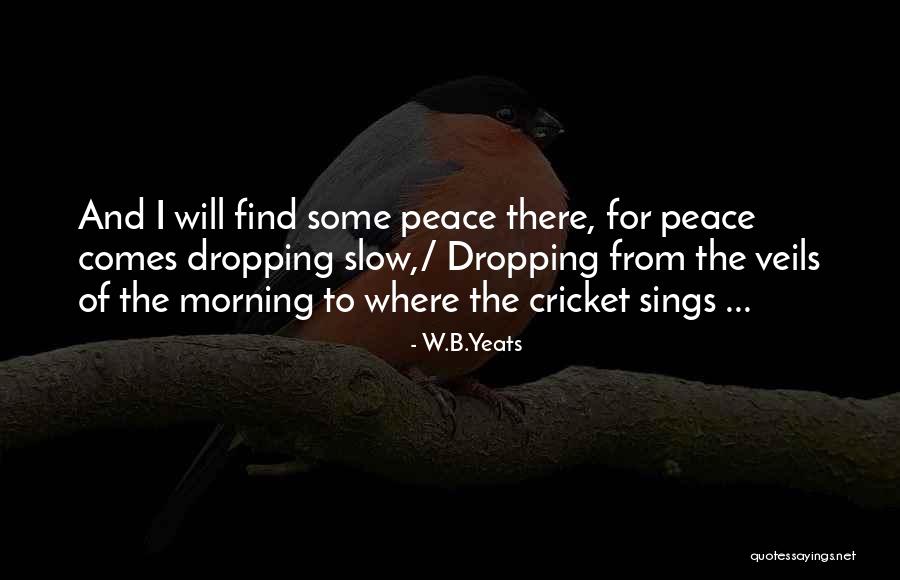 W.B.Yeats Quotes 1496431 W.B.Yeats Quotes 1496431