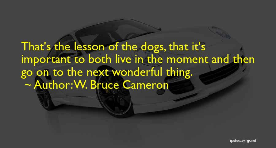 W. Bruce Cameron Quotes 1074433