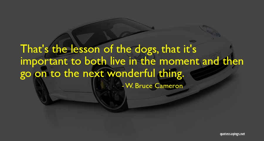 W. Bruce Cameron Quotes 1074433 W. Bruce Cameron Quotes 1074433