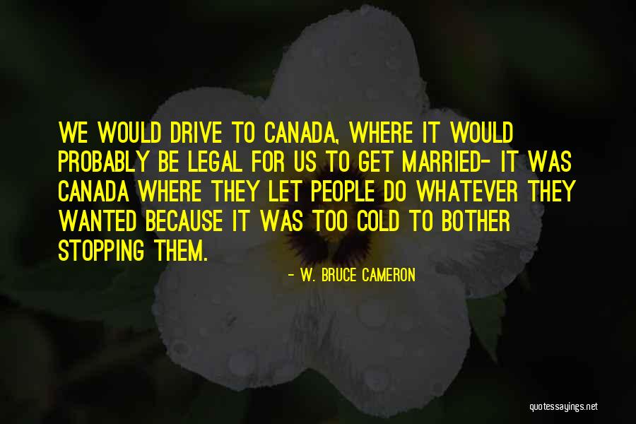 W. Bruce Cameron Quotes 1079271