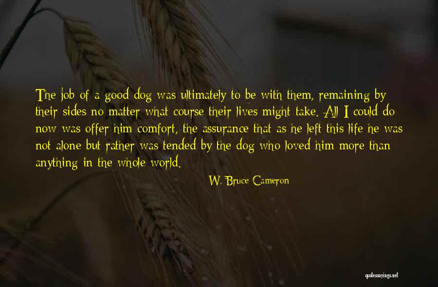 W. Bruce Cameron Quotes 1299277 W. Bruce Cameron Quotes 1299277