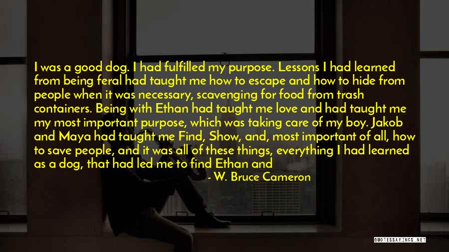 W. Bruce Cameron Quotes 1307603 W. Bruce Cameron Quotes 1307603