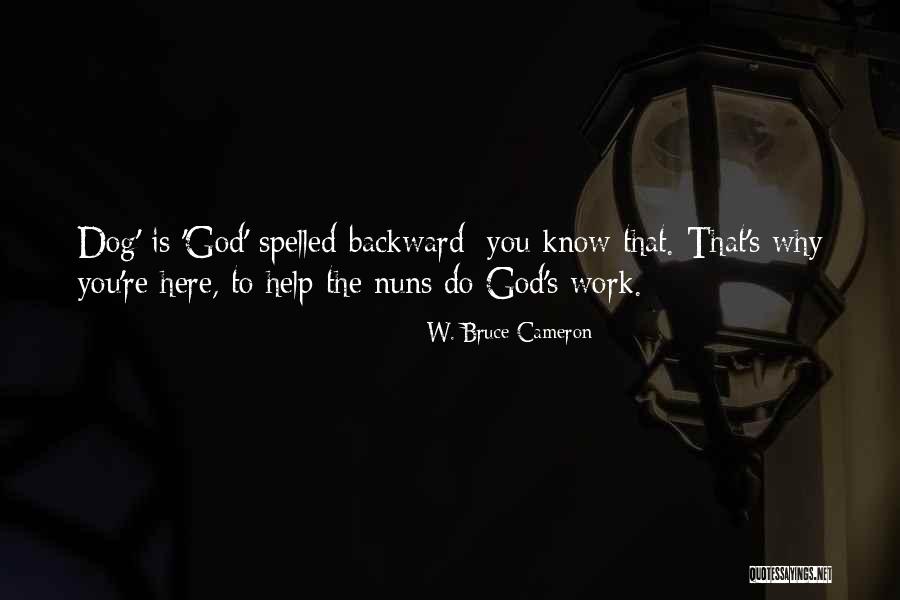 W. Bruce Cameron Quotes 1591950 W. Bruce Cameron Quotes 1591950