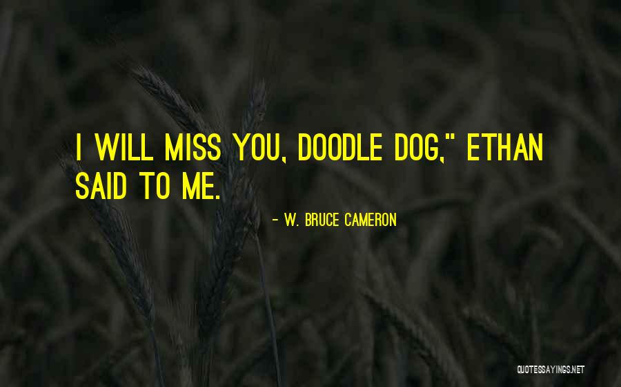 W. Bruce Cameron Quotes 537315