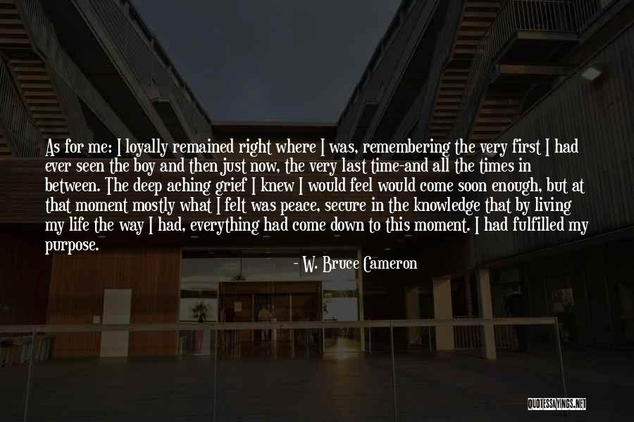 W. Bruce Cameron Quotes 571070 W. Bruce Cameron Quotes 571070