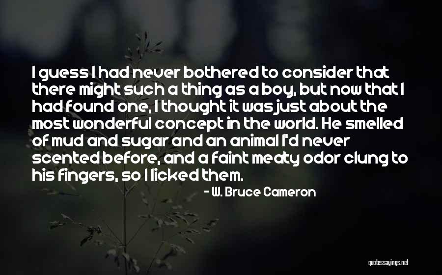 W. Bruce Cameron Quotes 76844 W. Bruce Cameron Quotes 76844