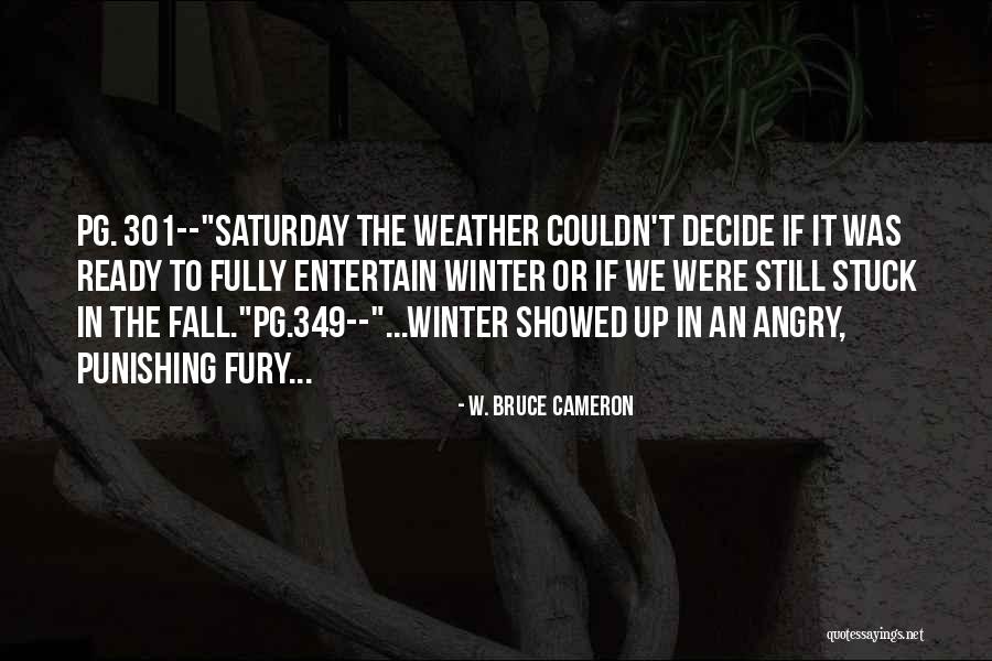 W. Bruce Cameron Quotes 829316