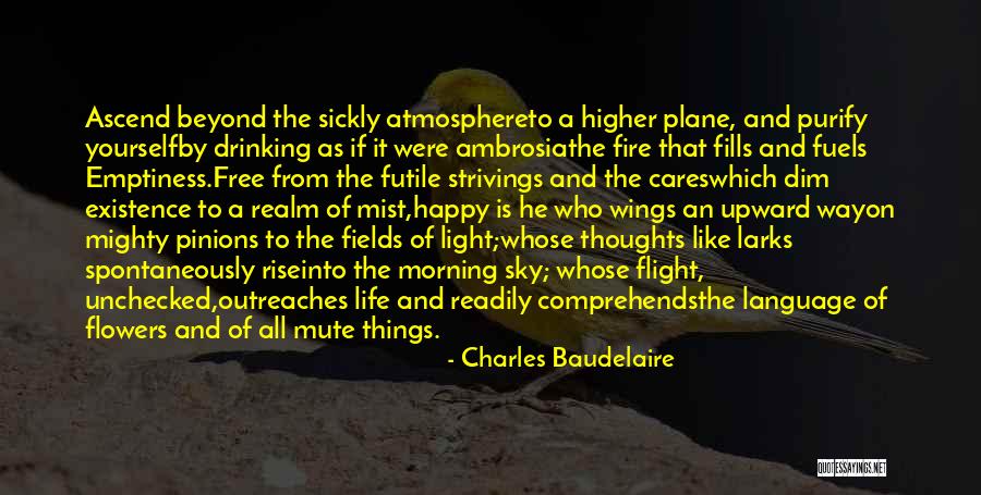 W C Fields Drinking Quotes By Charles Baudelaire