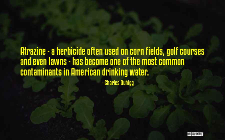 W C Fields Drinking Quotes By Charles Duhigg