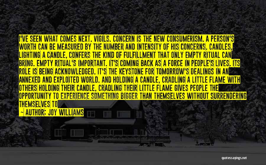 W C Williams Quotes By Joy Williams