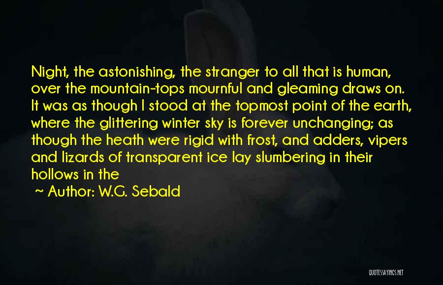 W.G. Sebald Quotes 100170